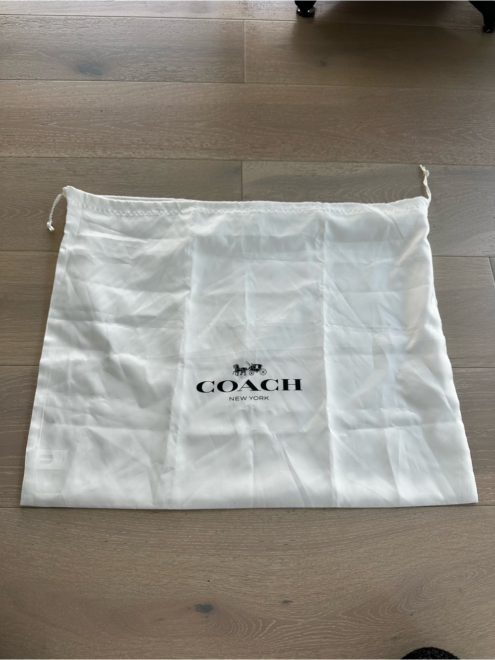 Coach Satin extra large Dust Bag